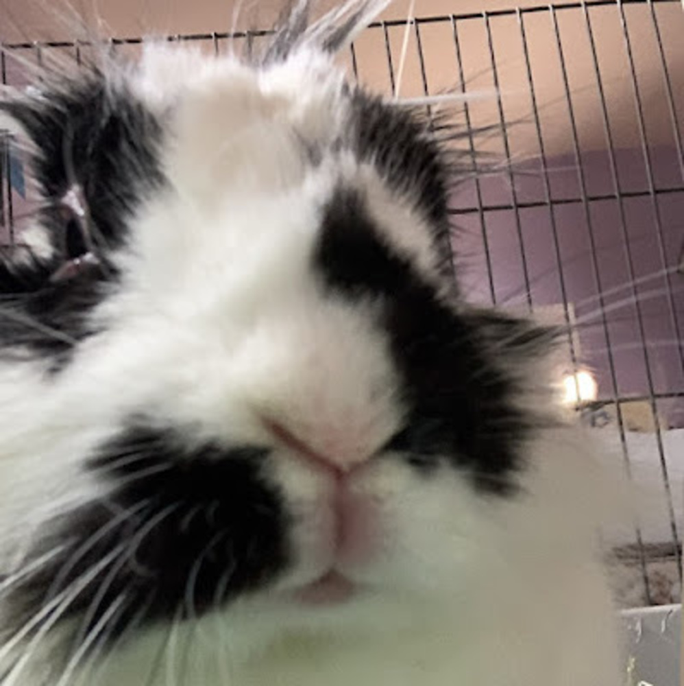 Meet your Posher, Jia